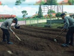 Dari Lahan Kosong Jadi Sumber Pangan, Brimob Sumut Kembangkan P2L di Batalyon C
