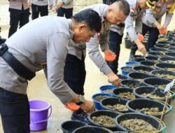 Dukung Ketahanan Pangan Pasca Banjir, Kapolda Aceh Perkenalkan Bibit Inbrida dan Konsep Sawah Portabel bagi Warga