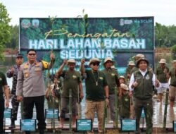Peringatan Hari Lahan Basah Sedunia di Bulungan : Kolaborasi Menteri, Gubernur, dan Kapolda Kaltara Tanam Mangrove